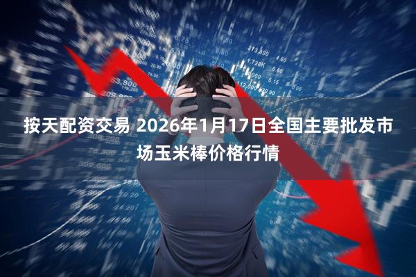 按天配资交易 2026年1月17日全国主要批发市场玉米棒价格行情